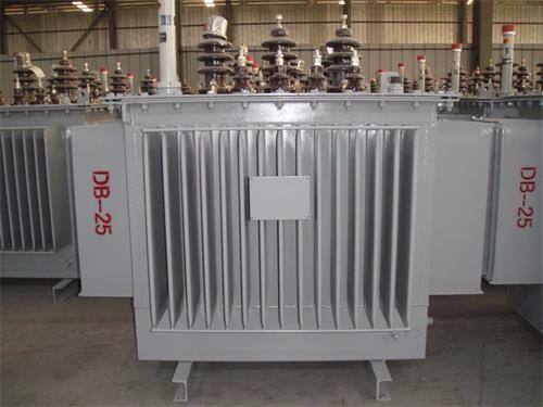 河池S13-100KVA/10KV/0.4KV油浸式变压器